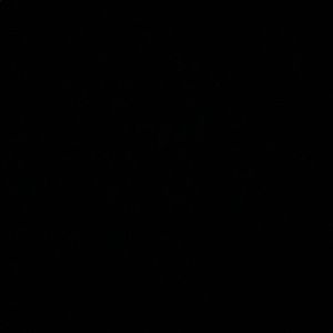 Meet your Posher, Meshavia